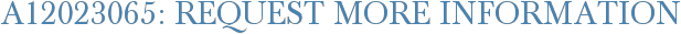 A12023065: Request More Information