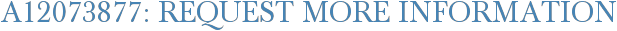 A12073877: Request More Information